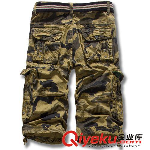 工裝褲 2015新品 戶外旅游沙灘褲 時尚迷彩男式七分褲 夏季純棉中褲 批發(fā)原始圖片3