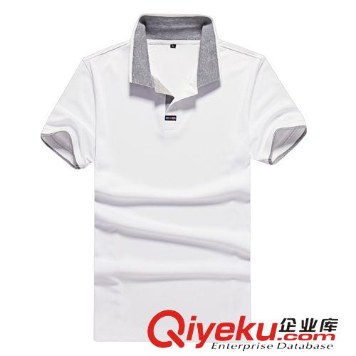 男式T恤 夏季新品翻領短袖T恤dp風格男士珠地衫公版可貼牌三色dp男裝