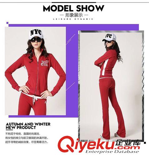 運動套裝 2015春季新款 純棉韓版運動套裝大碼刺繡連帽兩件套 休閑套裝女原始圖片3