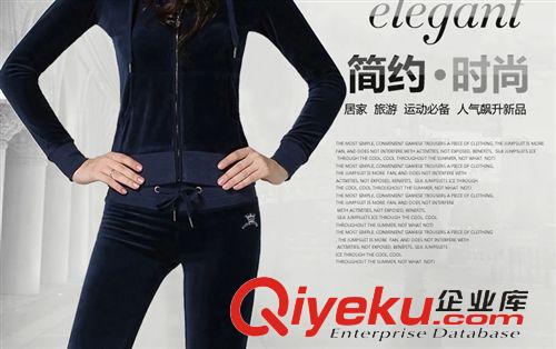 運動套裝 2015春秋新款休閑刺繡運動套裝 女天鵝絨連帽衛衣運動風休閑套裝原始圖片3
