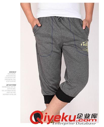 短褲 2015夏款新品休閑時尚男士針織七分褲沙灘褲男式純棉運動褲男潮原始圖片3