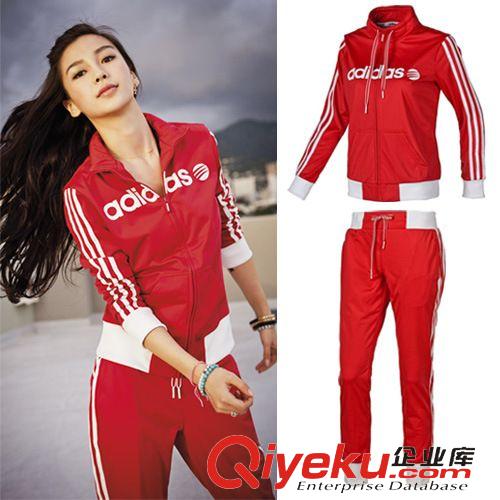 運(yùn)動(dòng)套裝 秋裝新品女式純棉長袖運(yùn)動(dòng)裝女士健身女款運(yùn)動(dòng)服女休閑套裝 批發(fā)原始圖片2