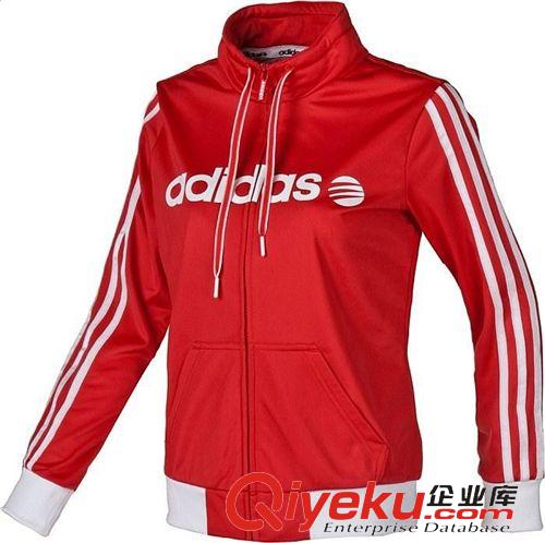 運(yùn)動(dòng)套裝 秋裝新品女式純棉長袖運(yùn)動(dòng)裝女士健身女款運(yùn)動(dòng)服女休閑套裝 批發(fā)原始圖片3