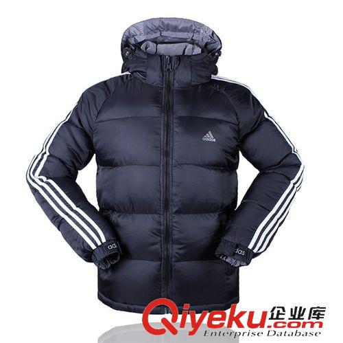 羽絨服 廠家直銷 冬季新款品牌運動羽絨棉衣 棉服 男式加厚保暖棉外套男