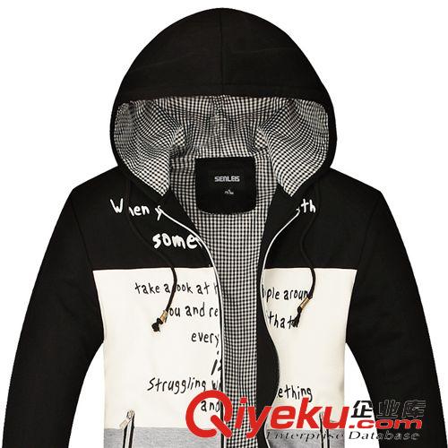 衛(wèi)衣 廠家直銷 2014秋冬新款男士連帽衛(wèi)衣批發(fā)時尚百搭青少年男式外套原始圖片2