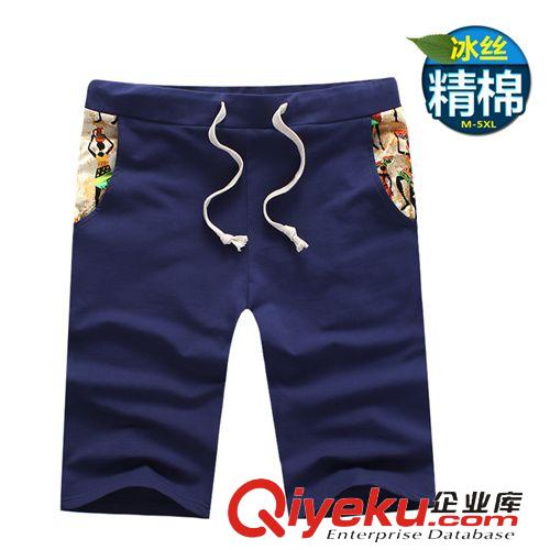 2015夏裝第八批 夏季男士休閑短褲民族風(fēng)五分褲沙灘褲運動短褲男裝衛(wèi)褲廠家直銷潮原始圖片3