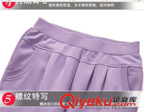 女士休閑套裝 2015春新款小西裝女款運(yùn)動(dòng)修身顯瘦時(shí)尚衛(wèi)衣套裝兩件套原始圖片3