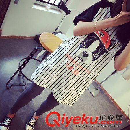上衣系列 萌萌噠2015夏季新款卡通呆萌狗狗韓版插肩袖中長款短袖T恤 女原始圖片3