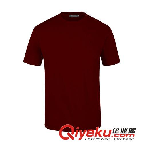 男士休閑運(yùn)動(dòng) 春夏季長(zhǎng)袖T恤男式戶外運(yùn)動(dòng)服新款 圓領(lǐng)透氣休閑跑步服登山服定制