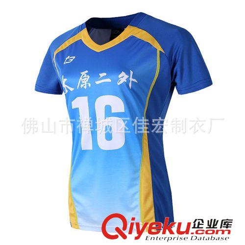 熱銷產(chǎn)品 廠家直供 聚脂纖維運(yùn)動(dòng)服裝 排球運(yùn)動(dòng)服裝套裝V1305原始圖片3