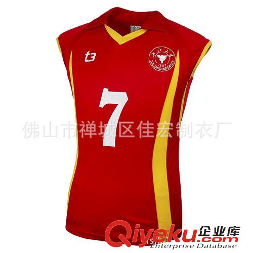 休閑運(yùn)動(dòng)服 運(yùn)動(dòng)服裝廠(chǎng)家提供服裝批發(fā) 運(yùn)動(dòng)服裝 批發(fā)