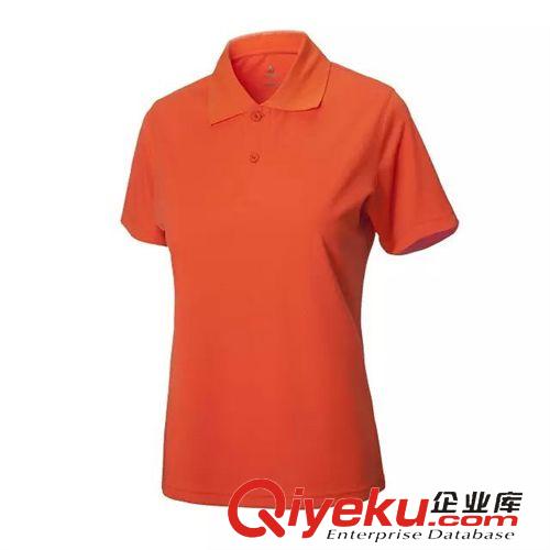 5月新品 短袖翻領(lǐng)純棉活動(dòng)t恤定制diy訂做班服廣告衫印字 文化衫工裝定做