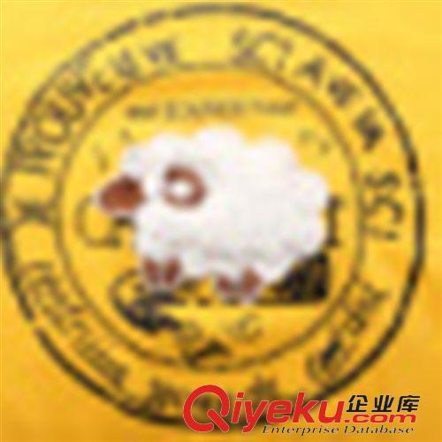 女士上衣T恤 #女裝新款中長款包臀打底衫女士春秋寬松大碼長袖t恤女上衣原始圖片2