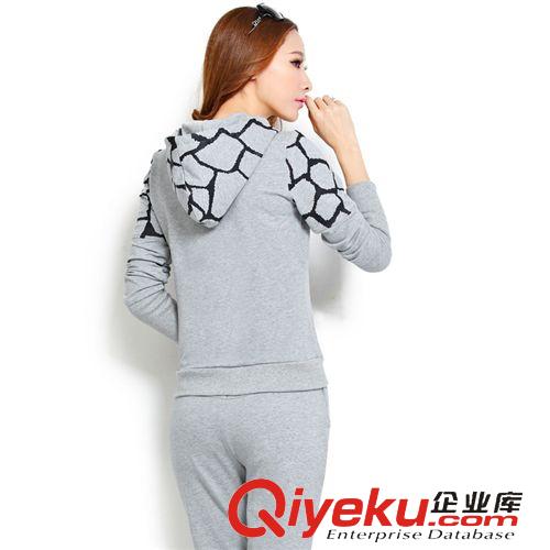 長(zhǎng)袖套裝新款 2015新款運(yùn)動(dòng)服女休閑套裝女衛(wèi)衣運(yùn)動(dòng)套裝女春秋運(yùn)動(dòng)裝時(shí)尚韓潮