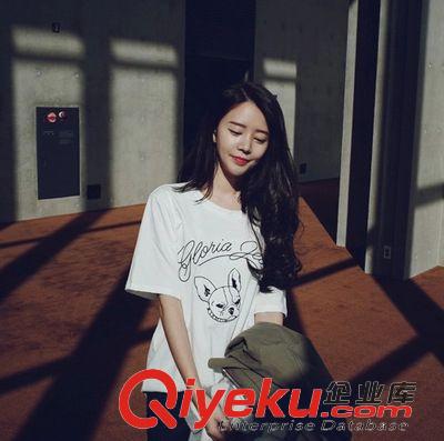 5.18 2015韓國(guó)代購(gòu)夏季新款老虎狗印花寬松短袖t恤 女原始圖片3