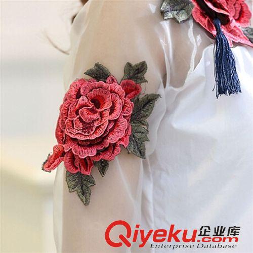 三月新款 2015新款時(shí)尚歐美春夏刺繡花朵襯衣網(wǎng)紗歐根紗長(zhǎng)袖gd女式白襯衫原始圖片3
