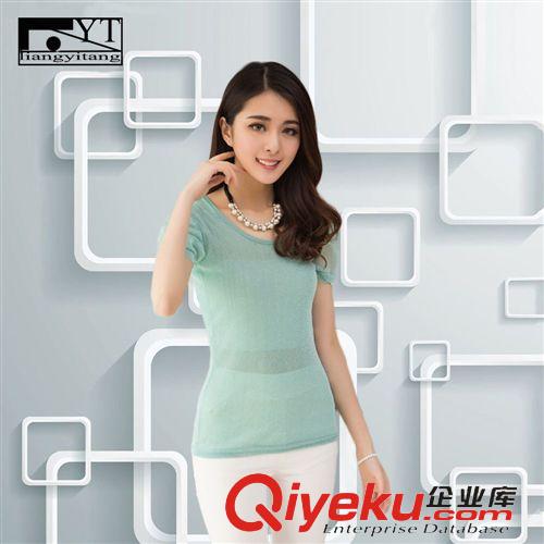 精品女裝上衣 2015夏韓女裝新款 短袖圓領大碼修身顯瘦蕾絲網紗 T恤打底衫薄款原始圖片3