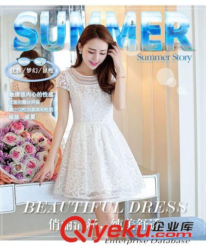 店長推薦 雪紡連衣裙2015夏季新品 韓版修身顯廋短袖刺繡氣質女式打底裙原始圖片3