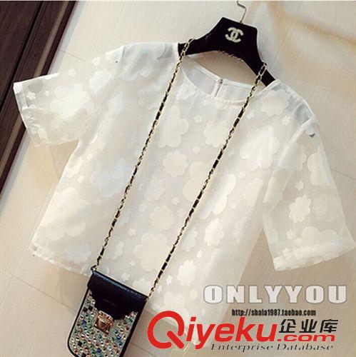 短裙專區(qū) 歐洲站高端女裝2015夏裝圓領(lǐng)短袖歐根紗印花寬松短款上衣襯衣原始圖片2