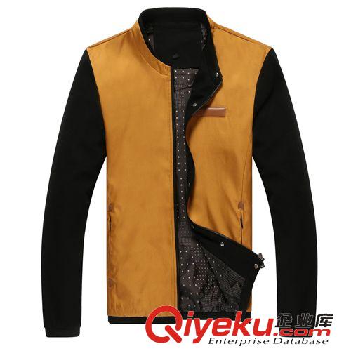 潮男夾克  2015新款zp男裝休閑夾克男 春秋薄款男式立領(lǐng)修身夾克外套原始圖片2