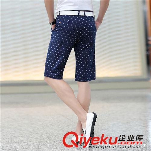 男式休閑褲 男裝 男式夏季運(yùn)動(dòng)五分褲 歐美大碼薄款全棉休閑中褲 廠家直銷原始圖片3