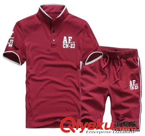 運(yùn)動、休閑套裝 2015夏季男式松緊腰休閑短褲男士立領(lǐng)短袖T恤青少年運(yùn)動休閑套裝原始圖片2