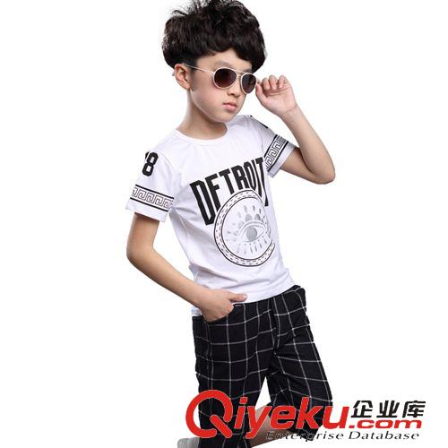 夏裝 2015夏季童裝男童兒童韓版中大童夏款時(shí)尚套裝免費(fèi)一件代發(fā)