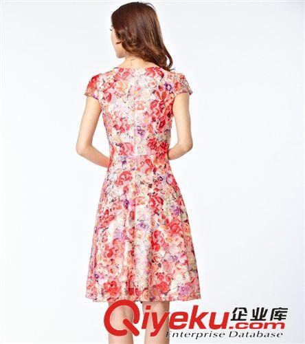 大碼女裝 夏季新款時(shí)尚媽媽連衣裙 蕾絲連衣裙原始圖片3