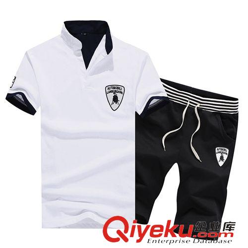 2015夏季{zx1}爆款 夏季新款純棉男式短袖T恤套裝 潮男運動短褲套裝 韓版立領t恤