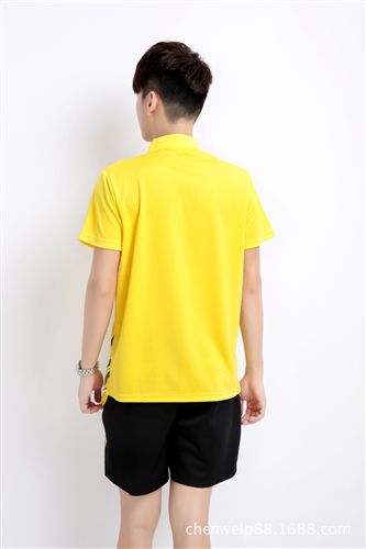 自主品牌1 zp男子休閑羽毛球服 俱樂部 網(wǎng)球服快干透氣運動套裝