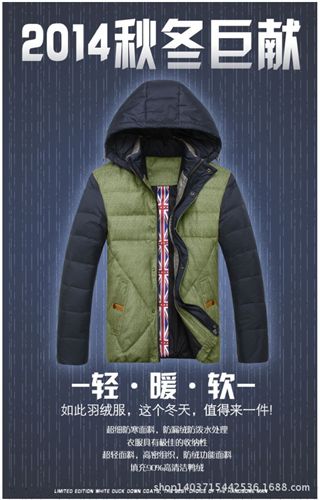 羽絨服系列 2014冬裝新款羽絨衣輕薄立領白鴨絨羽絨服男士外套 批發代理167