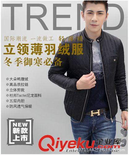 羽絨服系列 2014冬裝新款男士羽絨服立領薄款修身羽絨服男裝外套潮 189