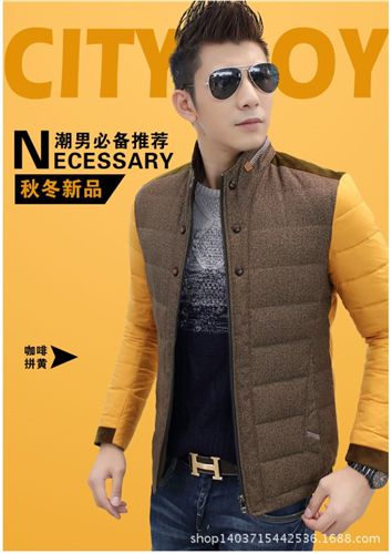 羽絨服系列 2014冬裝新款男士羽絨服立領(lǐng)薄款修身羽絨服男裝外套潮 189