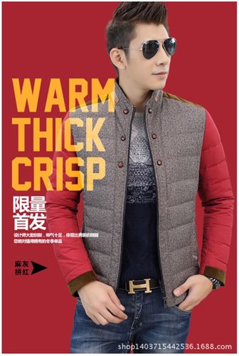 羽絨服系列 2014冬裝新款男士羽絨服立領(lǐng)薄款修身羽絨服男裝外套潮 189