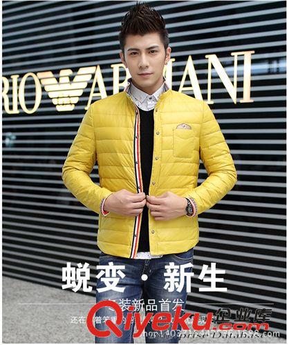 羽絨服系列 2014冬裝新款男士羽絨服立領薄款修身羽絨服男裝外套潮 189