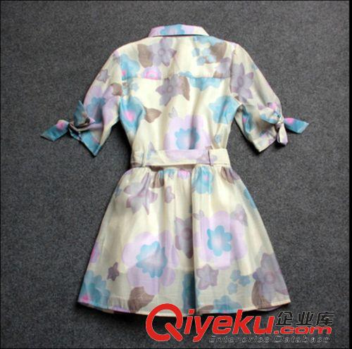 女式外套 2015夏裝女裝新款歐美大牌連衣裙時尚印花蝴蝶結(jié)中袖風(fēng)衣裙原始圖片3