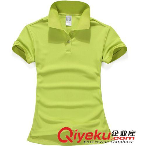 休閑運動POLO aoque/奧鵲運動速干polo衫女士保羅純色翻領t恤團體隊服工廠定制