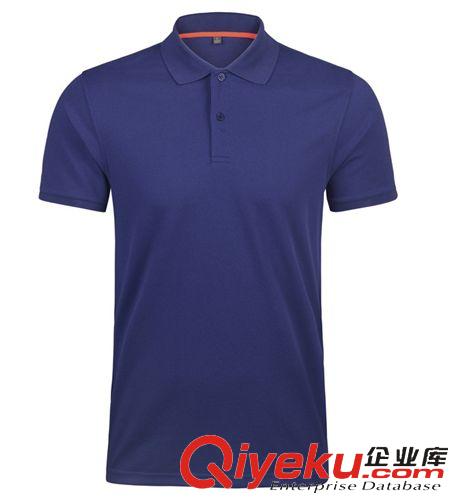 休閑運動POLO 運動POLO衫/休閑翻領(lǐng)男款短袖T恤 吸濕排汗t桖衫原始圖片2