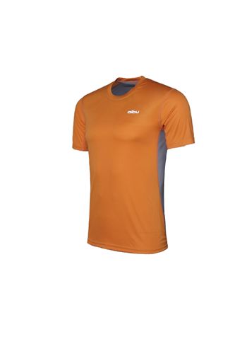 戶外休閑 aoque/艾步跑步運(yùn)動T恤男短袖速干衣服超輕透氣圓領(lǐng)男裝 多色原始圖片3