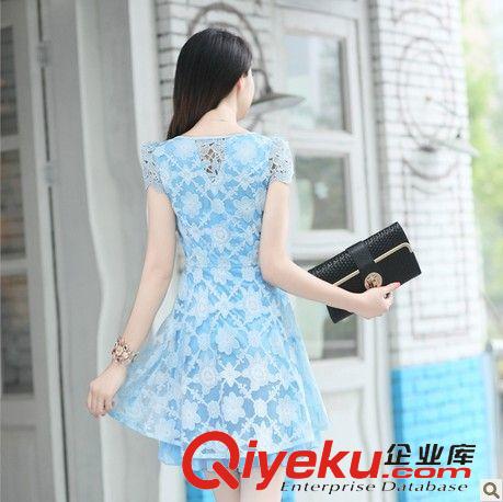 2014年夏裝系列 2014夏裝新款女裝長裙連衣裙夏季韓版修身氣質歐根紗連衣裙原始圖片2