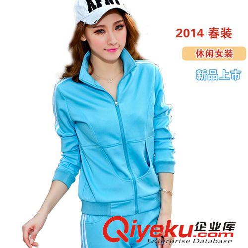 風(fēng)衣外套。小西裝 2014春秋季新款女款 時尚衛(wèi)衣長袖修身韓版運(yùn)動套裝外套原始圖片3