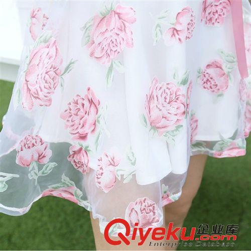 4月份夏裝新品 2015夏季新款女裝無袖雪紡連衣裙子修身顯瘦時尚品牌連衣裙原始圖片3