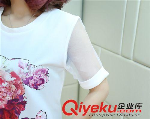 4月休閑套裝 2015東大門夏季新款顯瘦女裝上衣修身中長款圓領(lǐng)打底衫 批發(fā)原始圖片3