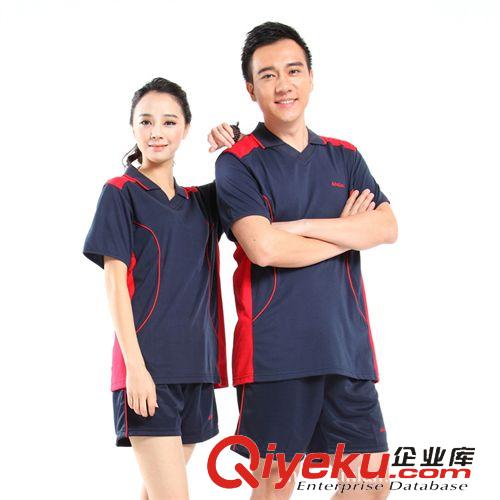 勁浪排球服 批發香港勁浪排球服套裝 男女款運動訓練服 吸汗速干透氣  537
