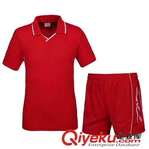 勁浪排球服 廠家批發香港勁浪排球服套裝 男女款運動訓練服 吸汗速干透氣 540原始圖片2