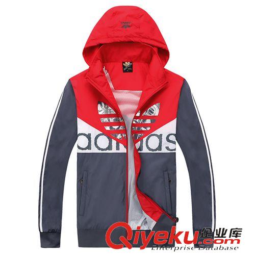 皮膚衣 廠家直銷2015春款男裝風衣休閑男裝男式外套青年修身運動服裝批發原始圖片3