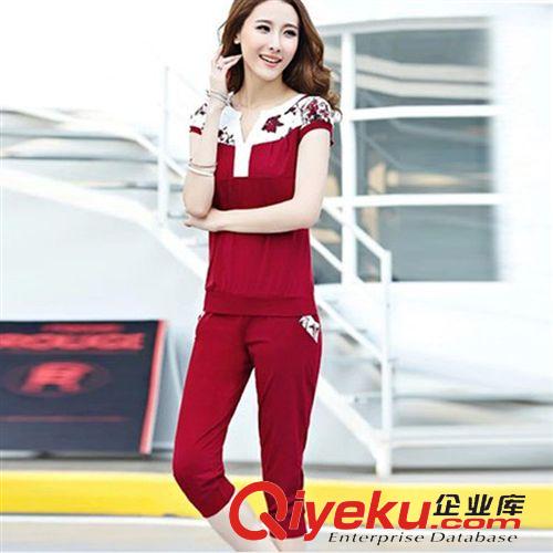 四月一期 2015夏季新款套裝-韓版女裝顯瘦時(shí)尚套裝 兩件套 套裝