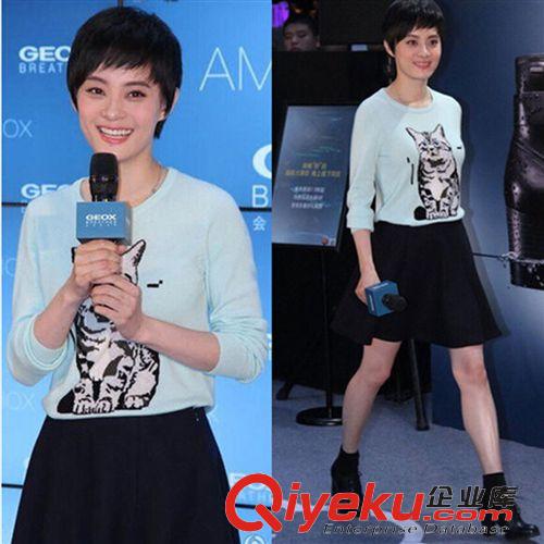 下架區 2014歐洲站秋冬裝新款孫儷同款貓咪印花時尚針織衫A字半身裙套裝
