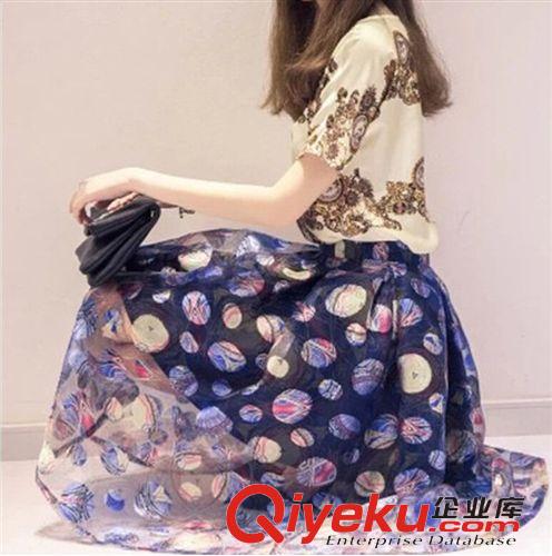 5月新款 2015夏季新款 韓版修身顯瘦復(fù)古印花圓領(lǐng)短袖中腰雪紡連衣裙原始圖片2