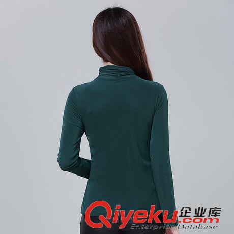 打底衫/蕾絲雪紡衫 2014秋冬裝新款打底衫 韓版女裝網(wǎng)紗蕾絲高領加絨加厚蕾絲打底衫原始圖片3